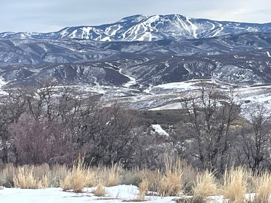 Saddleback Ranch-斯廷博特斯普林斯必去景点