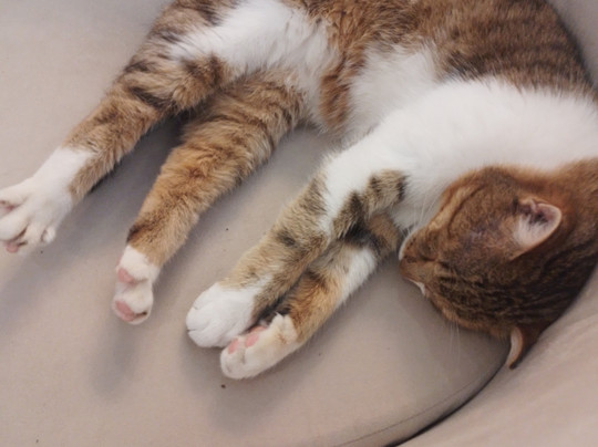 Sandıklı Termal Otel主图