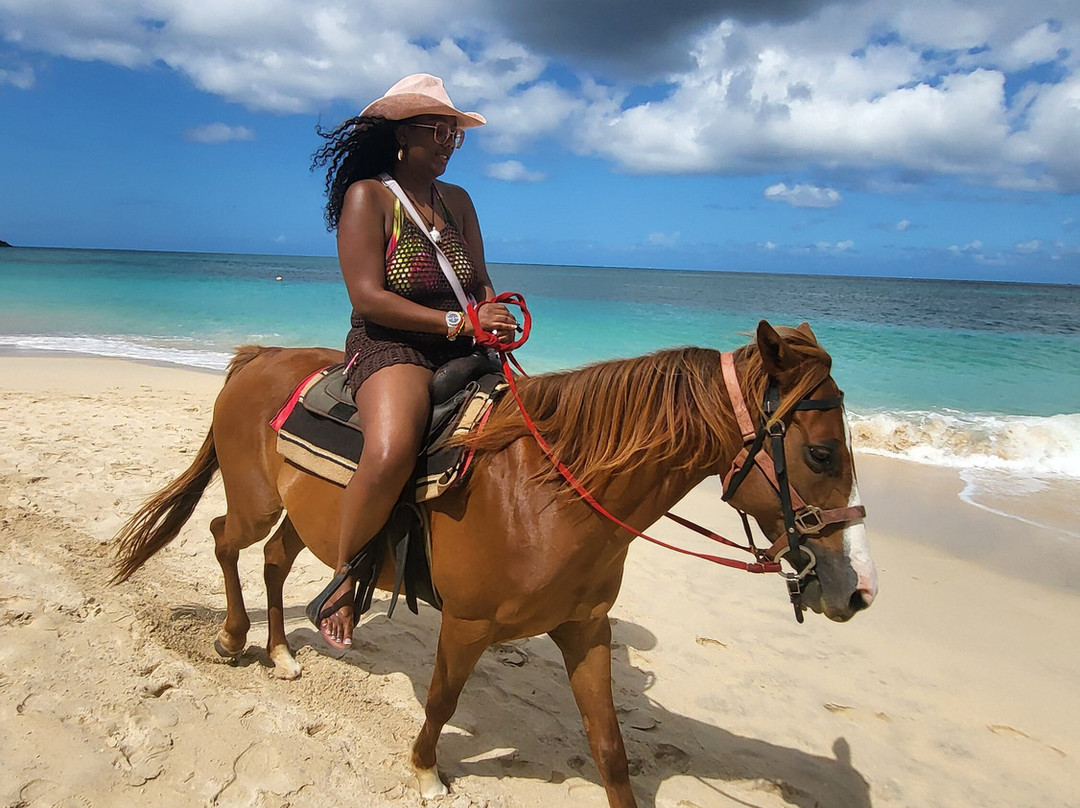 Bonanza Stables-St. George's必去景点
