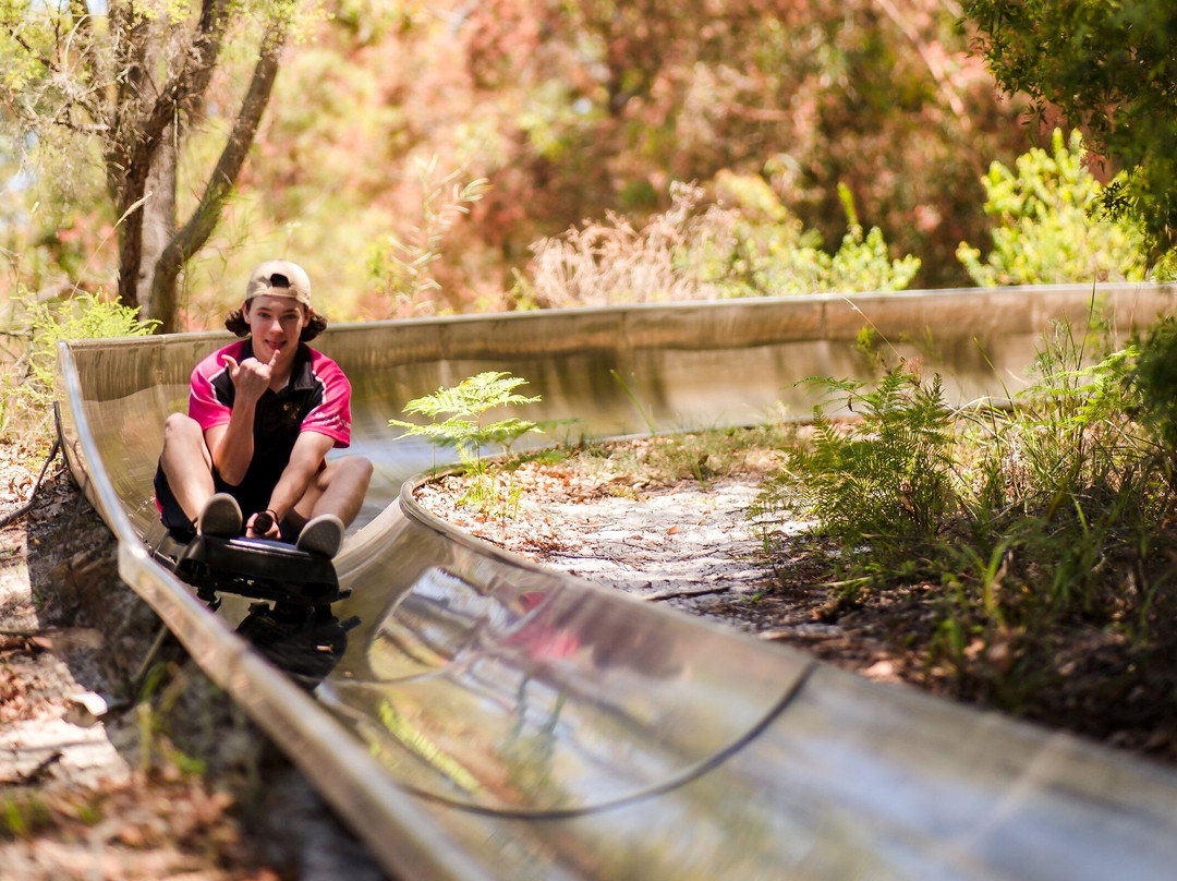 Toboggan Hill Park-尼尔森湾必去景点