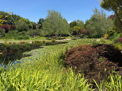 Mayfield Garden-Oberon必去景点