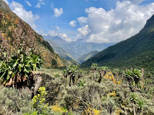 Trek Rwenzori Tours-Fort Portal必去景点
