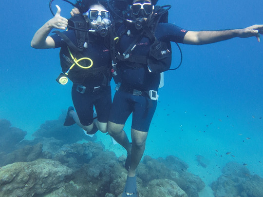 Dive Tribe-Neil Island必去景点