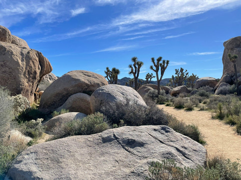 Cap Rock Trail-约书亚树国家公园必去景点