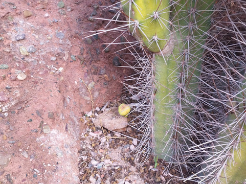 Crocoparc-阿加迪尔必去景点