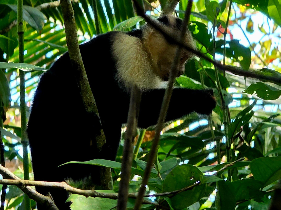 Costa Rica Decouverte-圣何塞必去景点