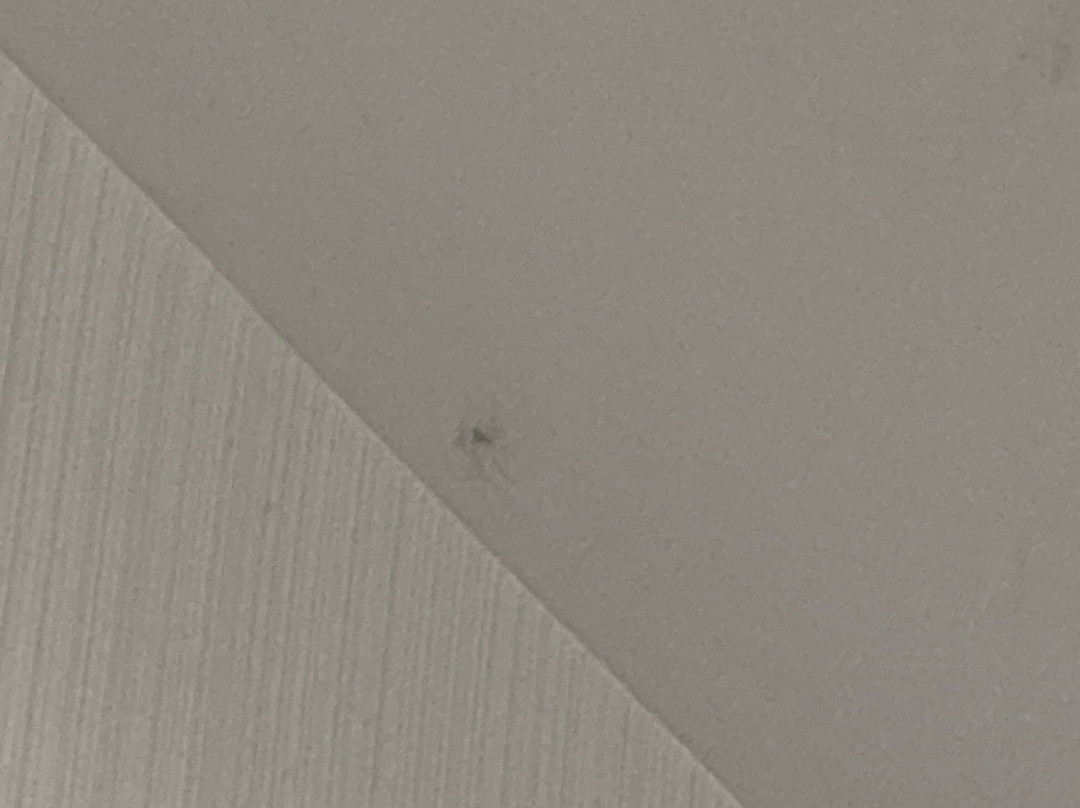 贝拉维斯塔酒店主图