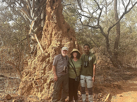 Birdwatching in The Gambia-Marakissa必去景点