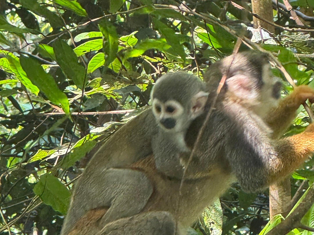 Rebecca Adventure Travel-阿约拉港必去景点