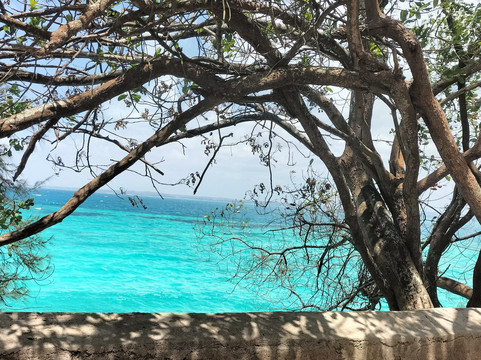 Eden Tours and Travel-桑给巴尔岛必去景点