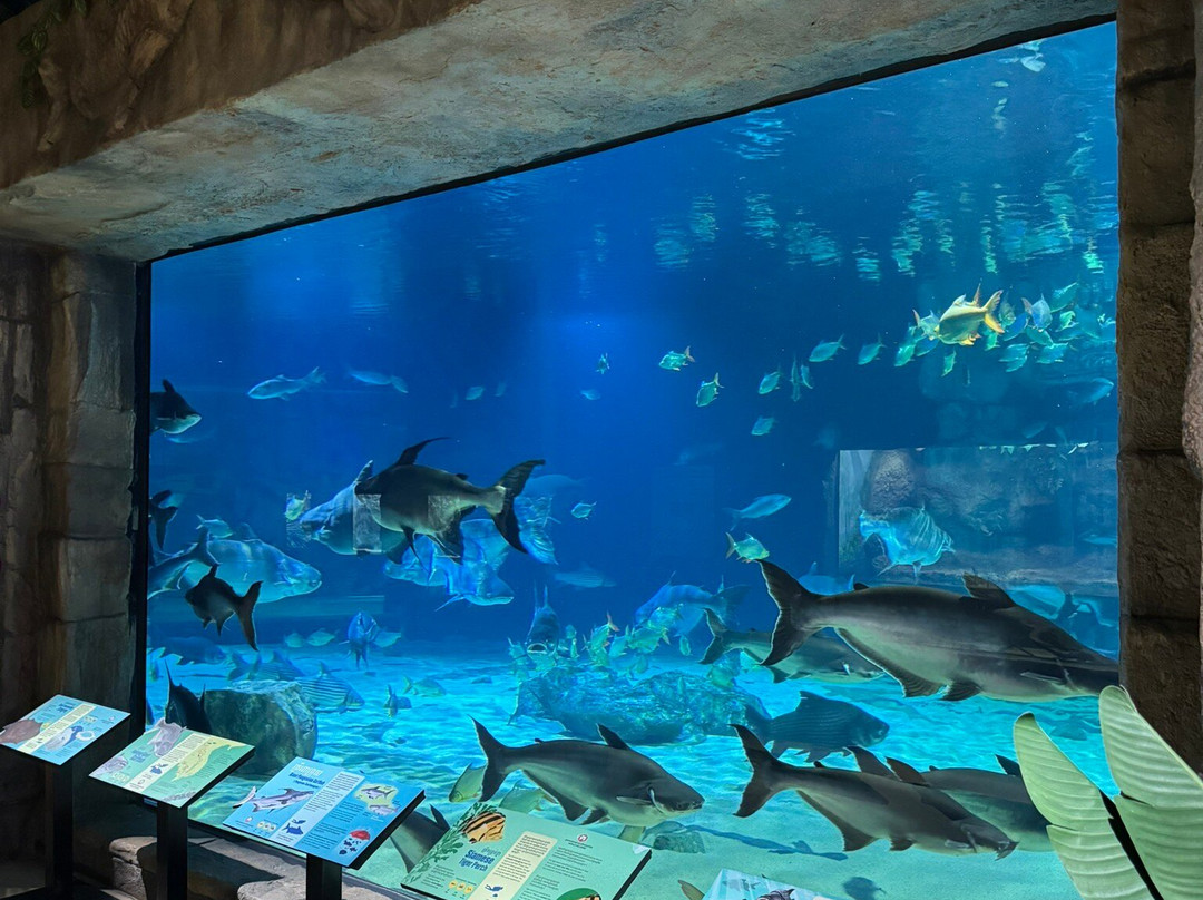 Angkor Wildlife & Aquarium-暹粒必去景点