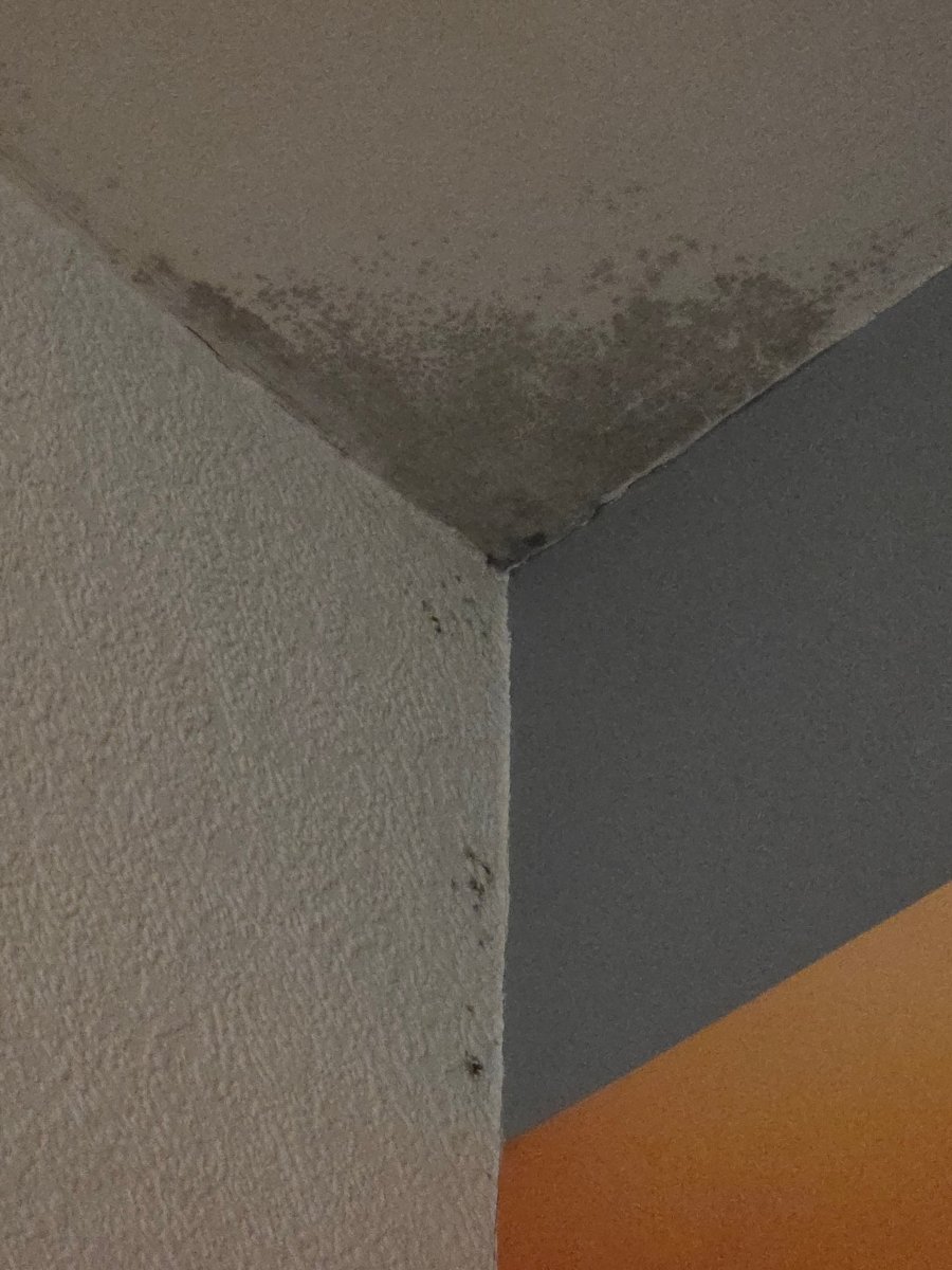 埃斯卡格堤耶酒店-官方