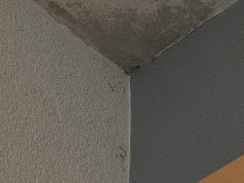 埃斯卡格堤耶酒店主图