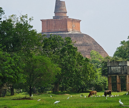Travel With Manju-阿努拉德普勒圣城必去景点