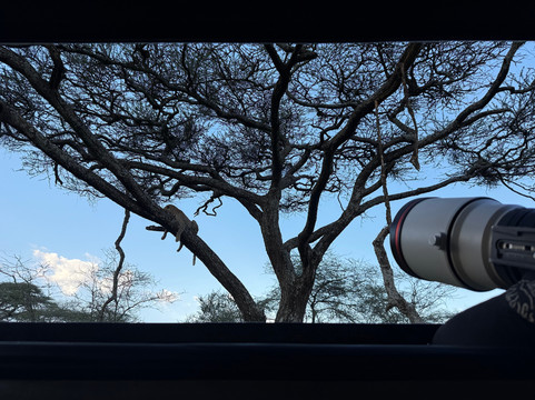 EverseenAfrica-霍德斯普鲁特必去景点