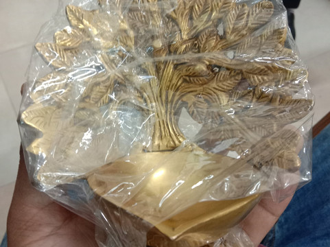 Serv Puja Store-阿格拉必去景点