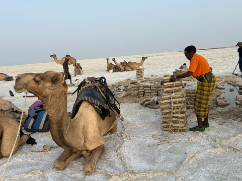 Simen Land Tours-亚的斯亚贝巴必去景点