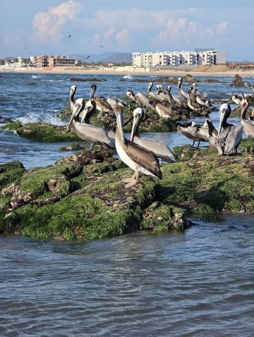 普韦布洛博尼托翡翠湾酒店-全包-泳池