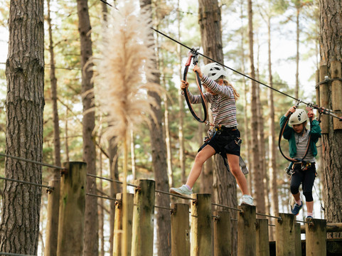 Tree Adventures-伍德山必去景点