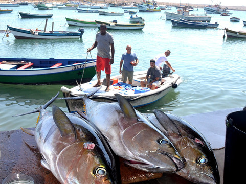 Johnny Cash Tour-Espargos必去景点
