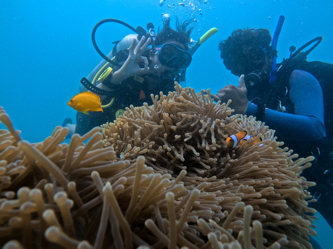 Barefoot Scuba-哈夫洛克岛必去景点