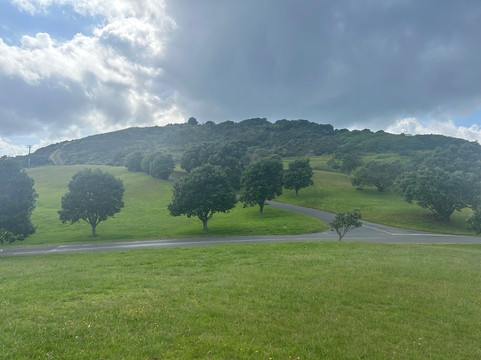 Nature & Nosh Tours-汉密尔顿必去景点