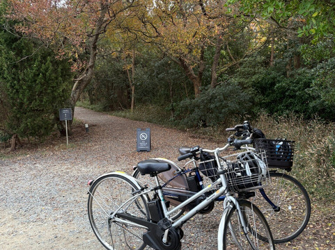 Les Archives du coeur-土庄町必去景点