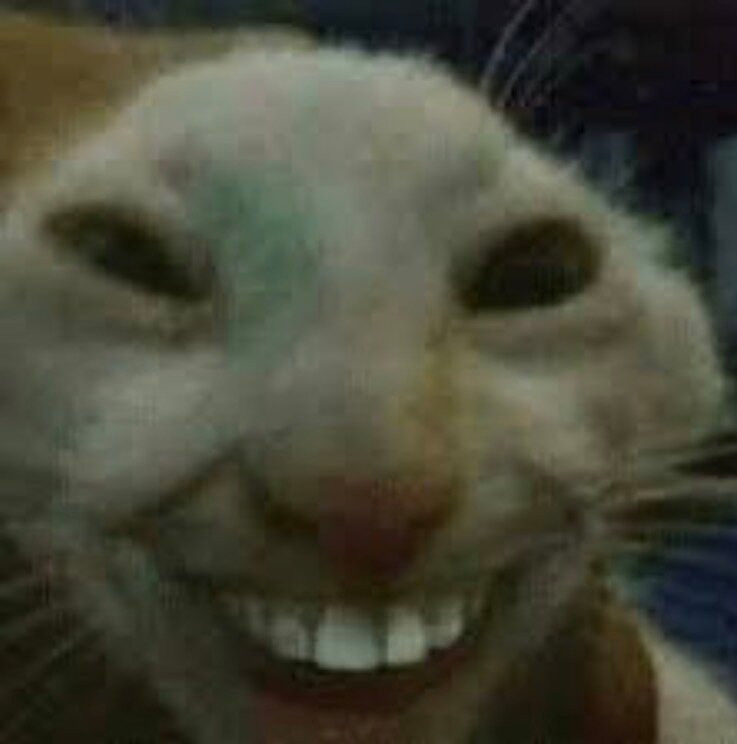 奥尤Totonacapan酒店，Papantla