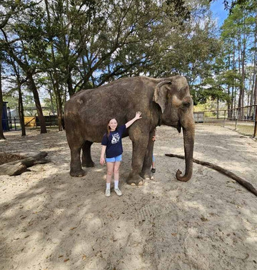 Two Tails Ranch: All About Elephants-Williston必去景点