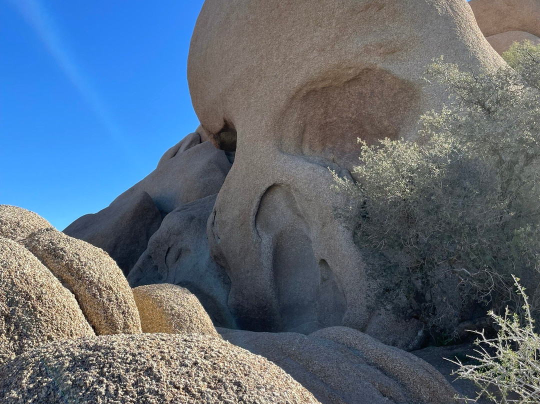 Skull Rock-约书亚树国家公园必去景点