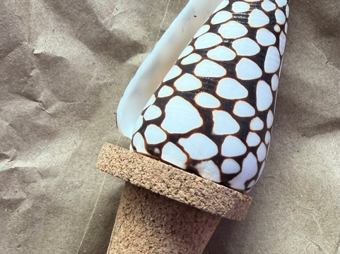 Carolina Cider Company-Yemassee必去景点