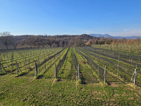 Podere Dei Folli-Polpenazze del Garda必去景点
