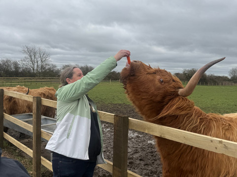 Highland Cow Cottage-Royston必去景点