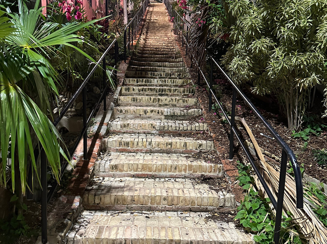 绿鬣蜥酒店主图