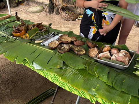 Tour American Samoa-Pago Pago必去景点