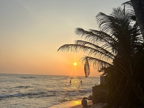 Exotic Island Tours - Private Driver Sri Lanka-Ganemulla必去景点