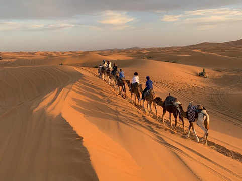 Morocco Come With Us Tours-马拉喀什必去景点