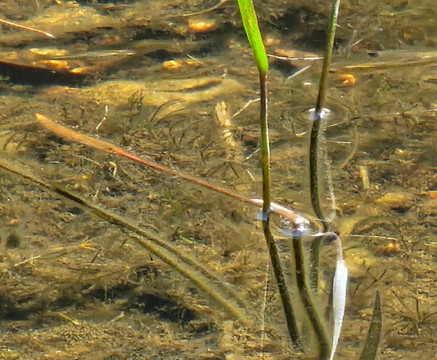 Quebrada De Córdova-Isla Negra必去景点