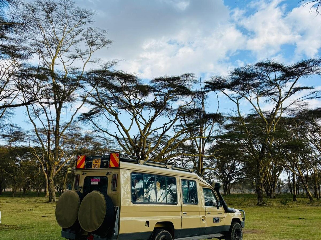 nomade SAFARI-蒙巴萨必去景点