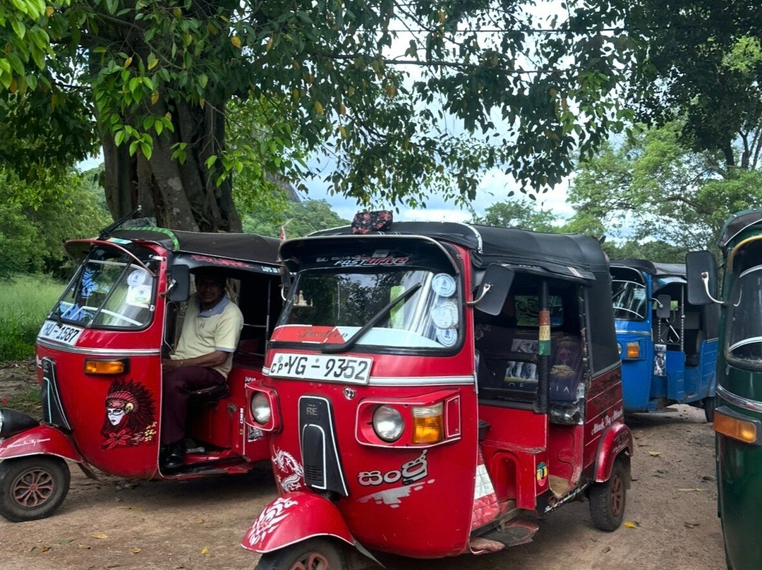 Shenandoah Travels Sri Lanka-佩拉德尼亚必去景点