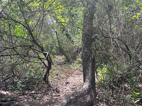 Bongoyo Island-Dar es Salaam必去景点