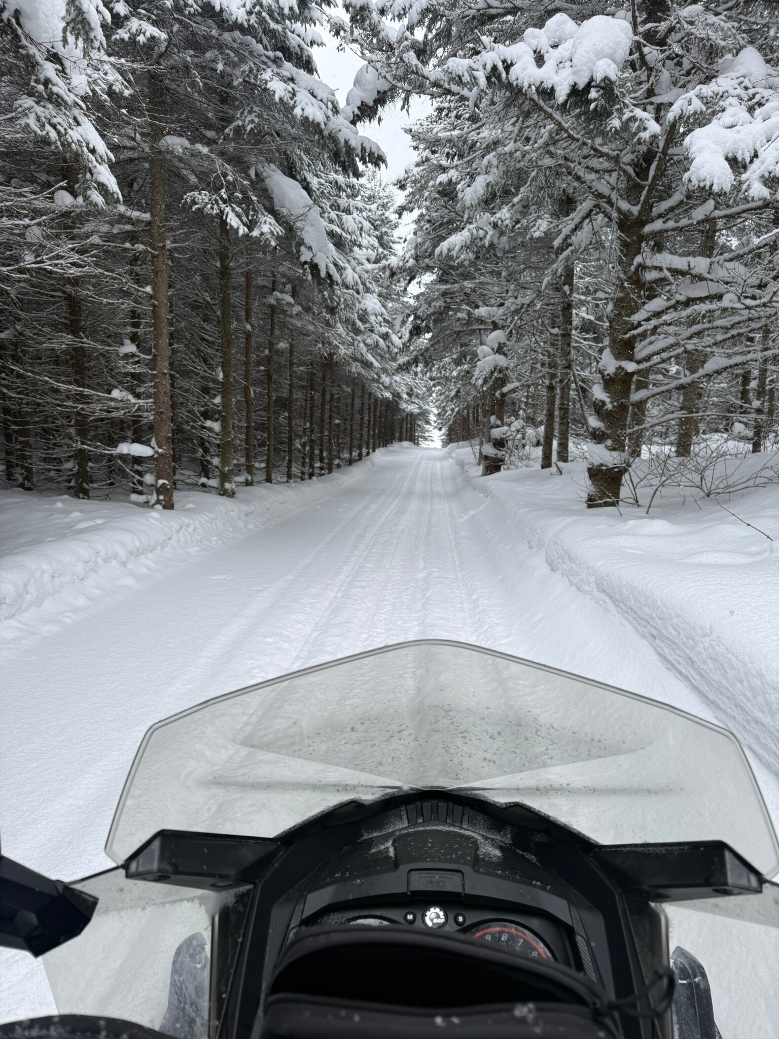 威廉湖庄园酒店-官方