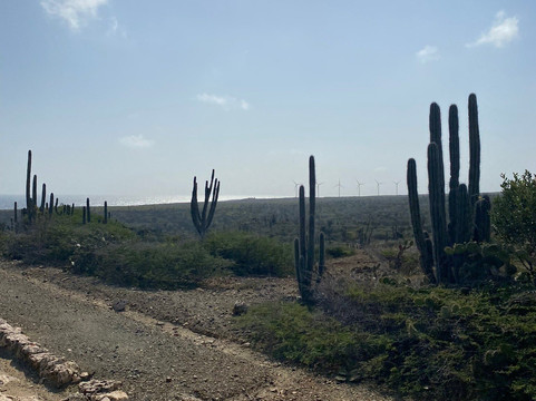 阿勒柯克国家公园-Santa Cruz必去景点