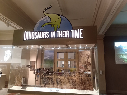 卡内基自然历史博物馆-匹兹堡必去景点