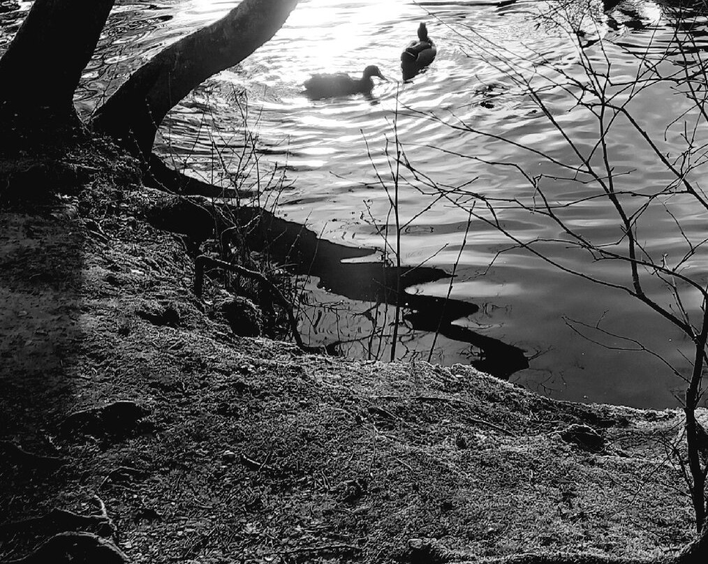 Stockgrove Country Park-Heath and Reach必去景点