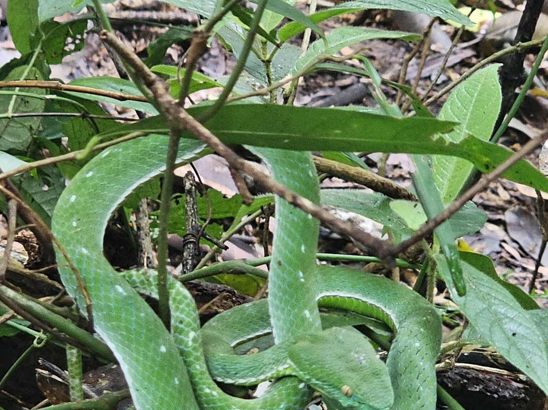 Haew Narok Waterfall-考艾国家公园必去景点