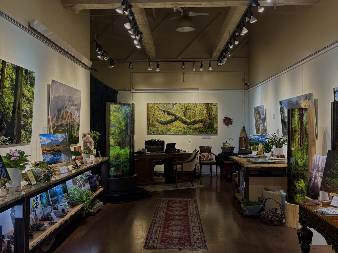 Karen Cooper Gallery-温哥华必去景点