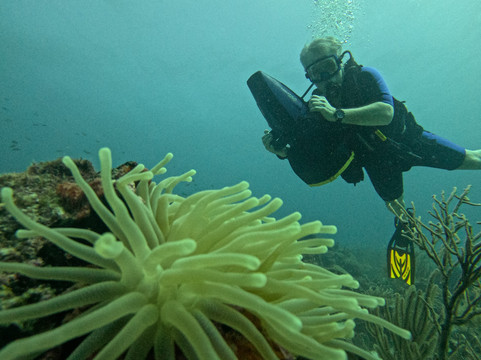 Aruba Bob Snorkel & Scuba-阿鲁巴岛必去景点