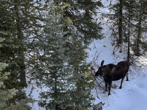 Breckenridge Ski Resort-布雷肯里奇必去景点