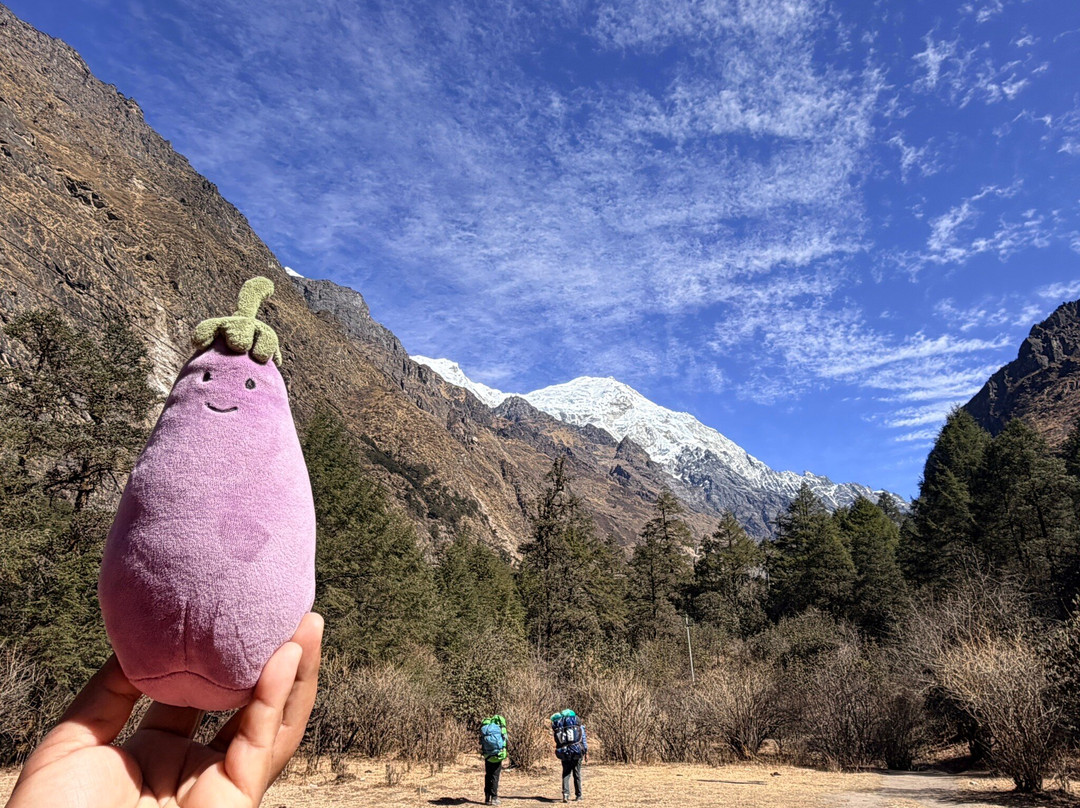 Himalayan Vista Trekking Pvt. Ltd.-加德满都必去景点